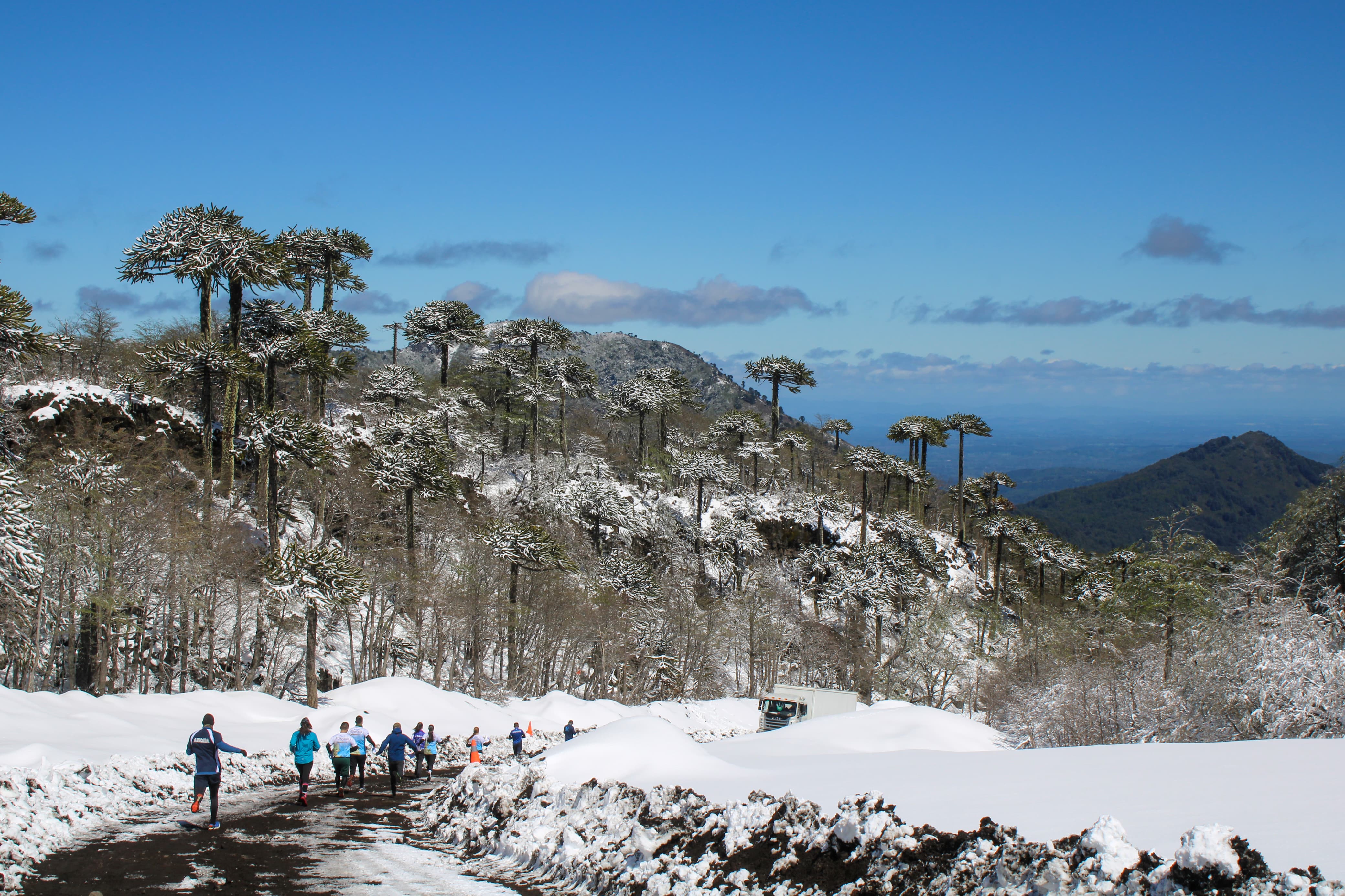 Logística en Terreno Nieve